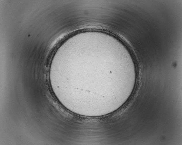 X0000116151067201001041048