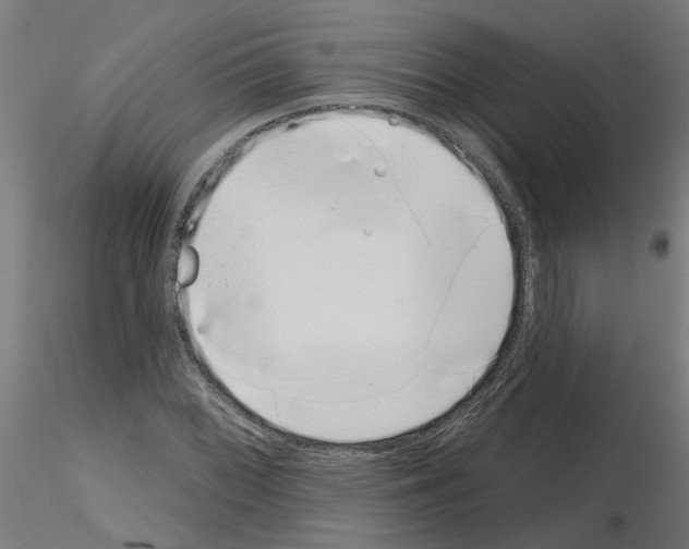 X0000116151068201001041048