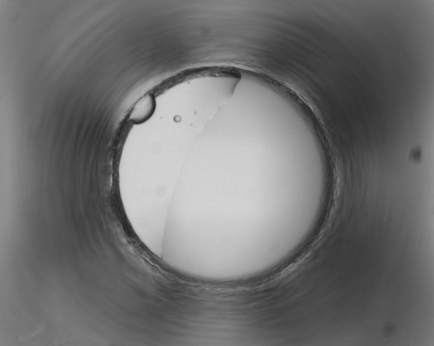 X0000116151069201001041048