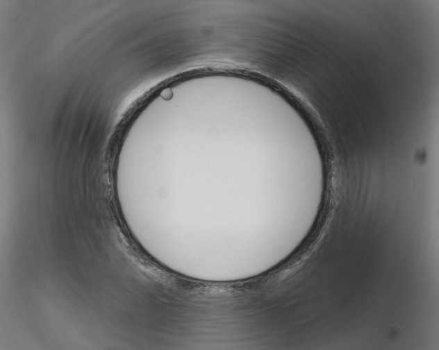 X0000116151070201001041048