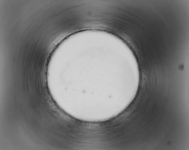 X0000116151071201001041048