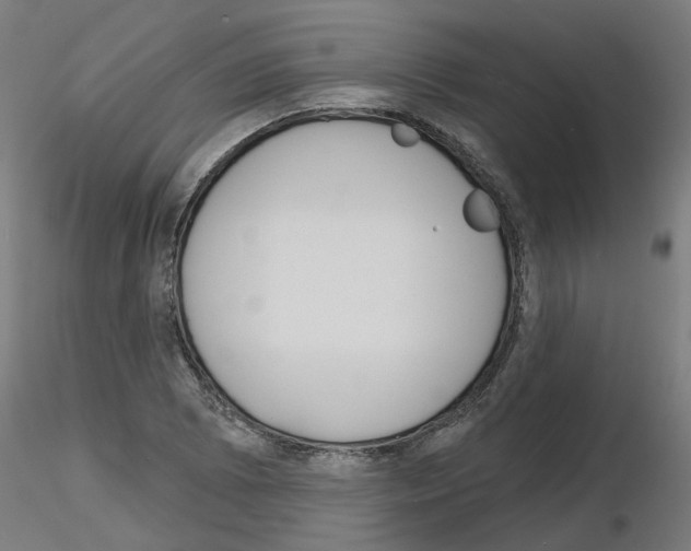 X0000116151073201001041048