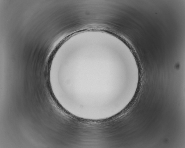 X0000116151075201001041048