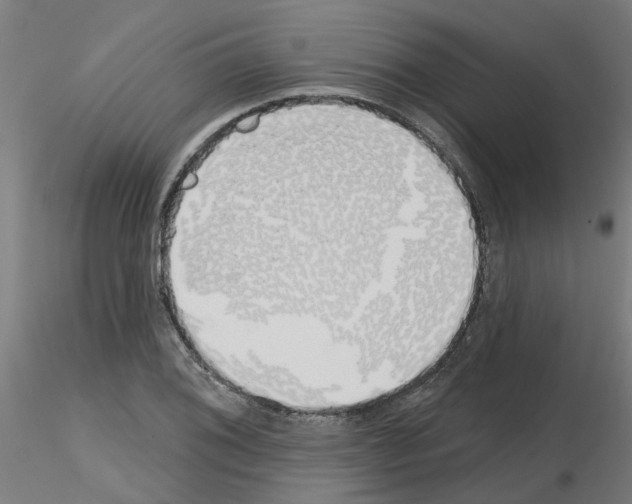 X0000116151076201001041048