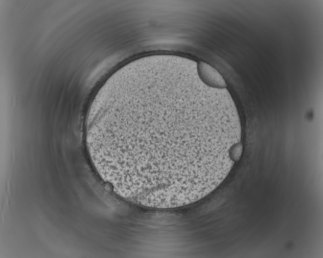 X0000116151077201001041048