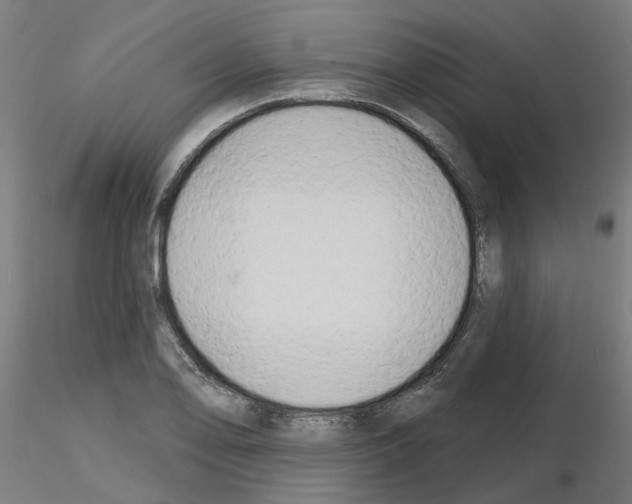 X0000116151078201001041048