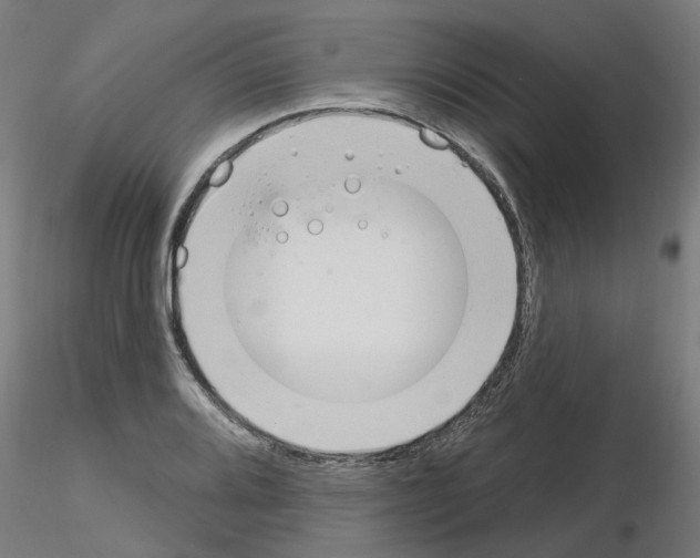 X0000116151080201001041048