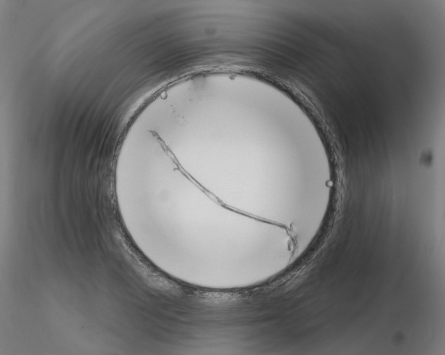 X0000116151081201001041048