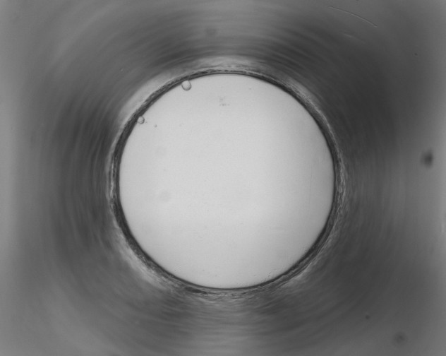 X0000116151082201001041048