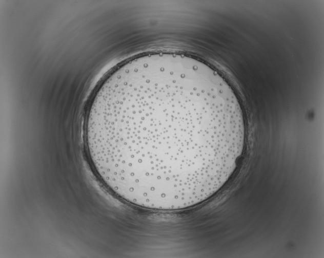 X0000116151083201001041048