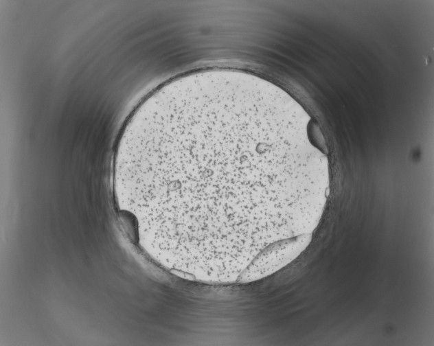 X0000116151084201001041048