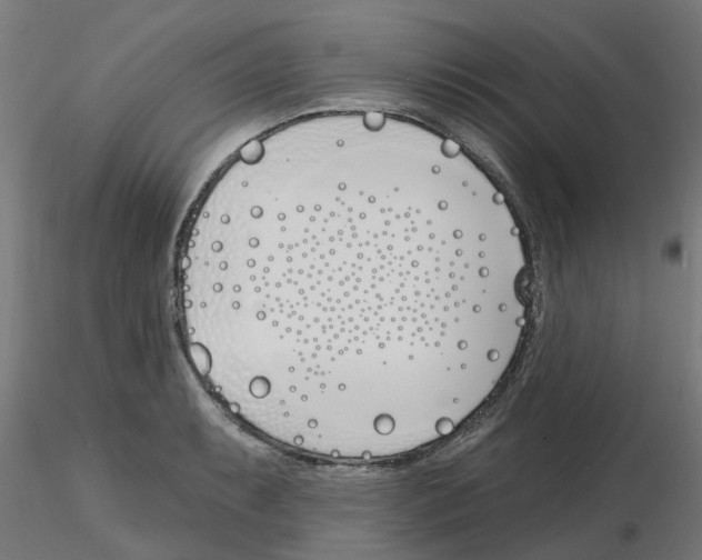 X0000116151087201001041048