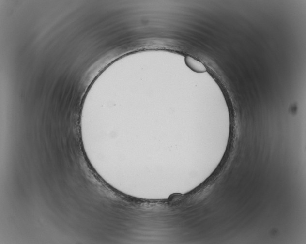 X0000116151089201001041048