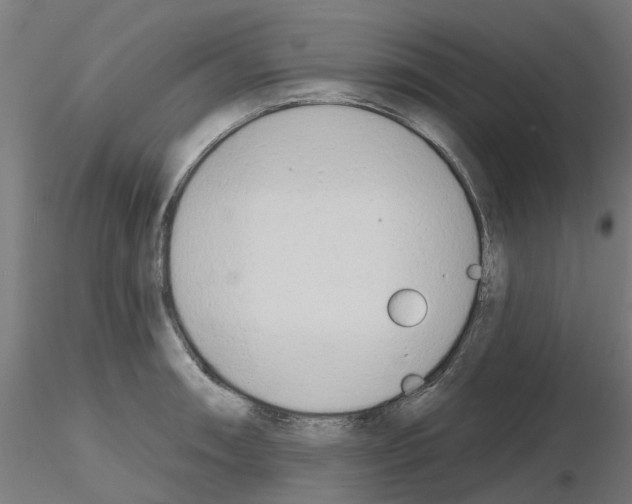 X0000116151090201001041048