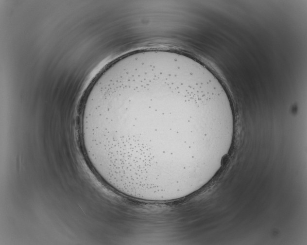 X0000116151091201001041048