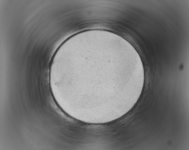 X0000116151092201001041048