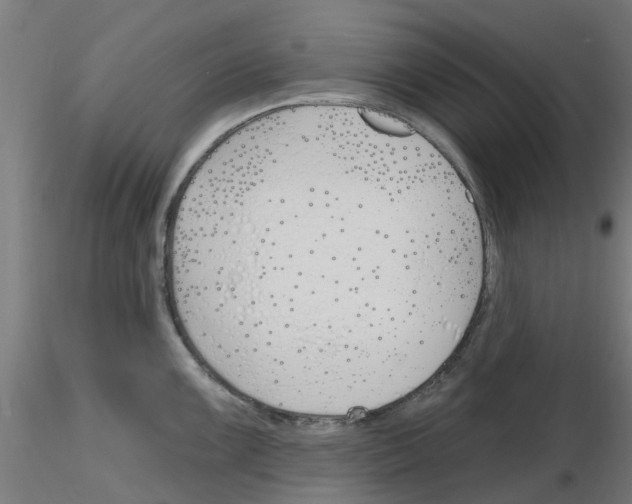 X0000116151099201001041048