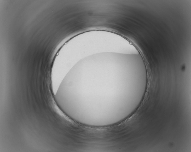 X0000116151100201001041048