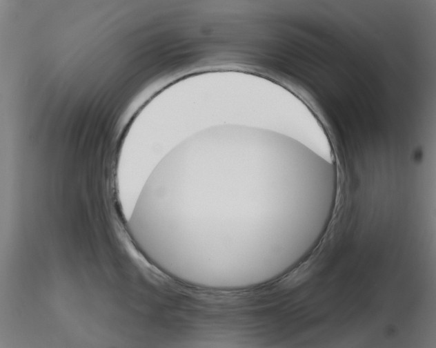 X0000116151101201001041048