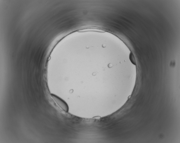 X0000116151104201001041048