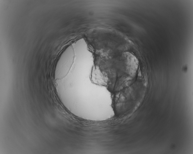 X0000116151105201001041047