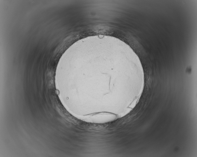 X0000116151106201001041047