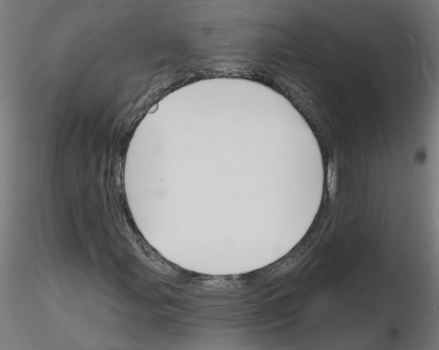 X0000116151107201001041047