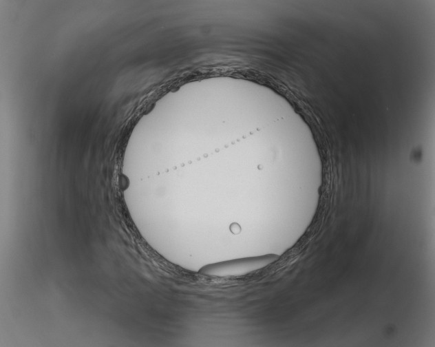 X0000116151109201001041047