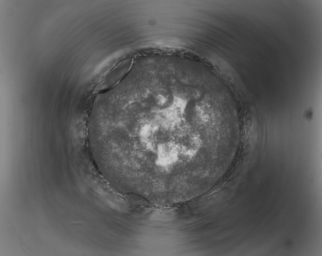 X0000116151110201001041047