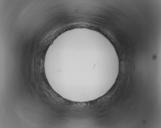 X0000116151111201001041047