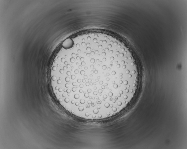 X0000116151113201001041047