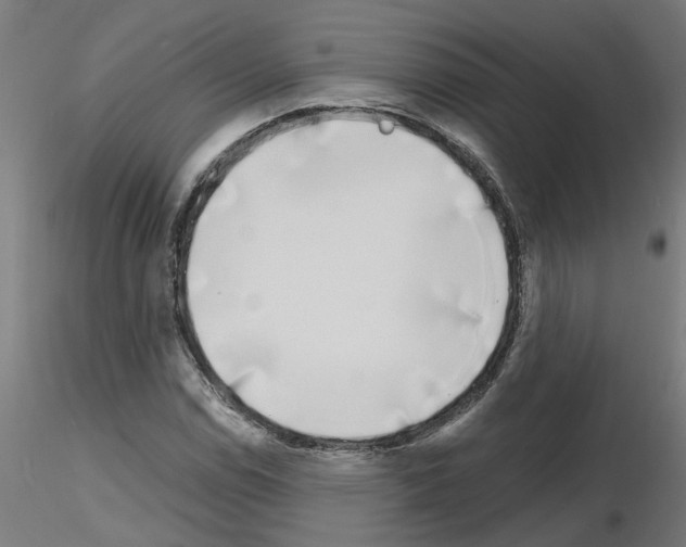 X0000116151114201001041047