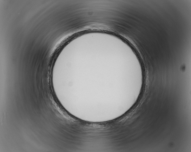 X0000116151115201001041047