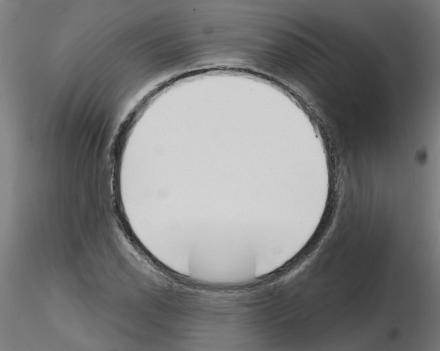 X0000116151118201001041047