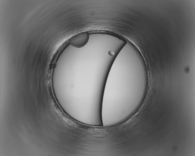 X0000116151119201001041047