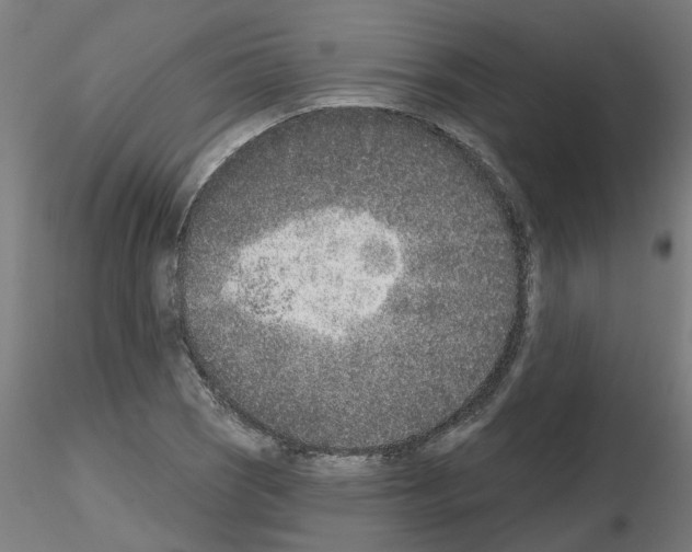 X0000116151121201001041047