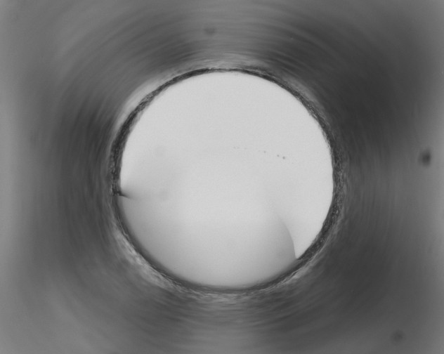 X0000116151122201001041047