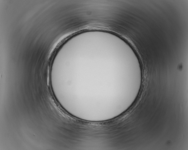 X0000116151123201001041047