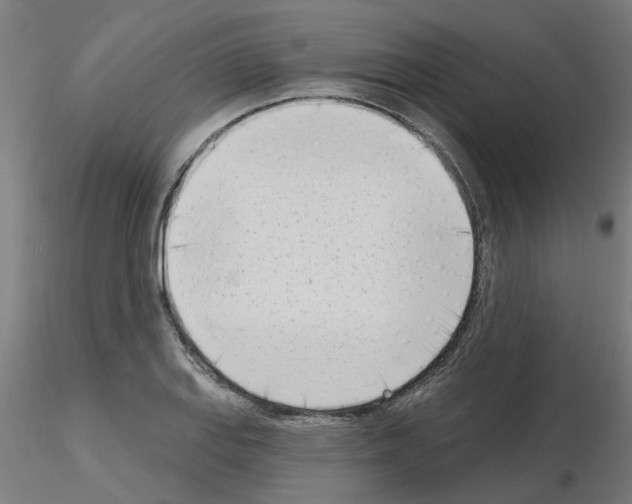 X0000116151127201001041048