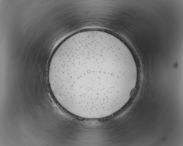 X0000116151129201001041048