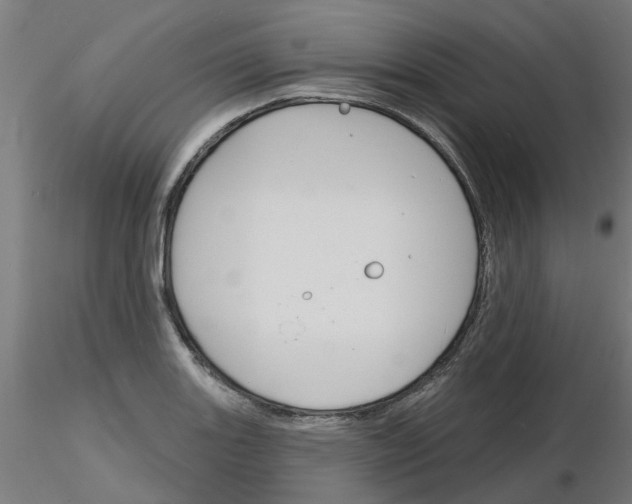 X0000116151131201001041048