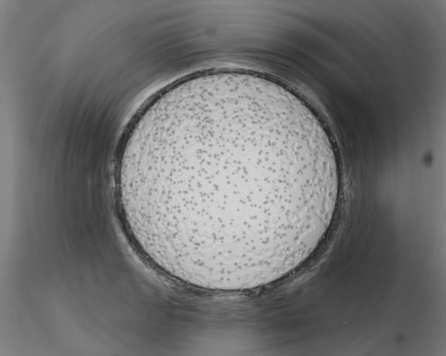 X0000116151133201001041048