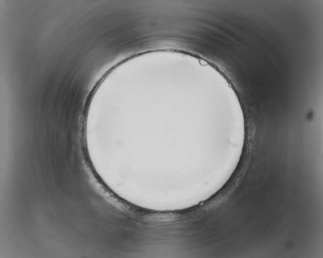 X0000116151134201001041048