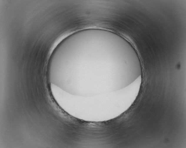 X0000116151138201001041048