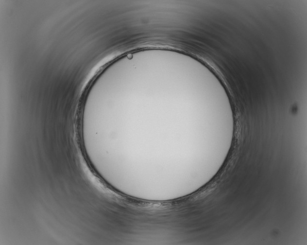 X0000116151139201001041048