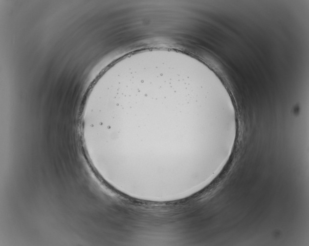 X0000116151141201001041048