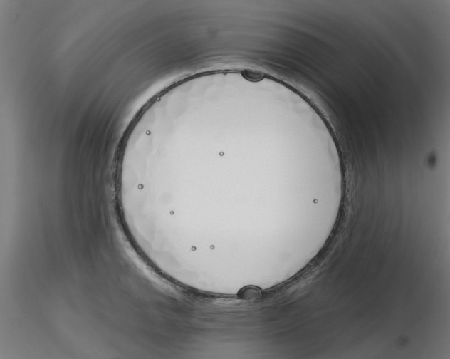 X0000116151142201001041048