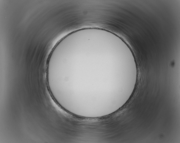 X0000116151143201001041048