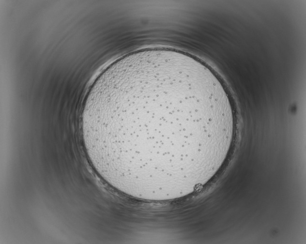 X0000116151145201001041048