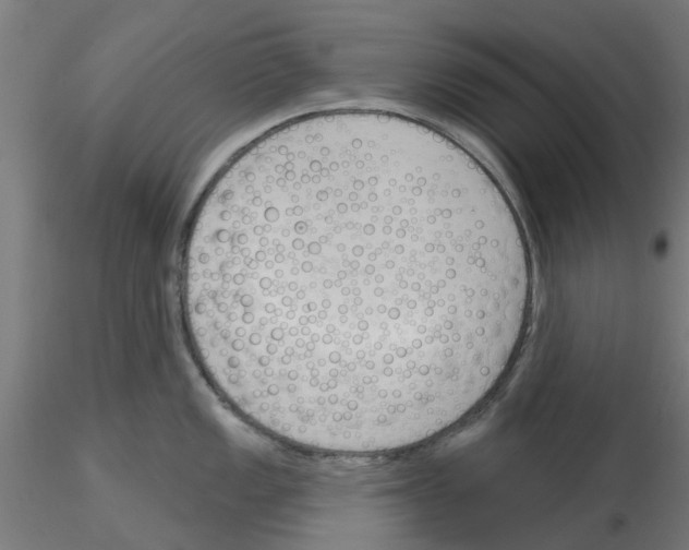 X0000116151149201001041048